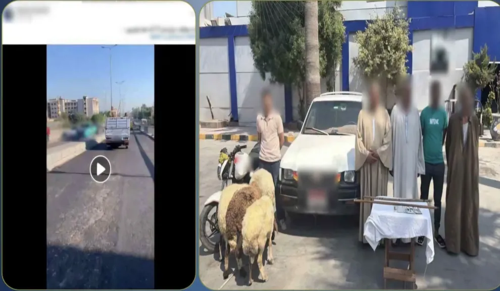 باعوله خرفان تعبانة ومشيوا... الداخلية تكشف حقيقة مطاردة سيارة ربع نقل بالإسكندرية وادعاء سرقة أموال