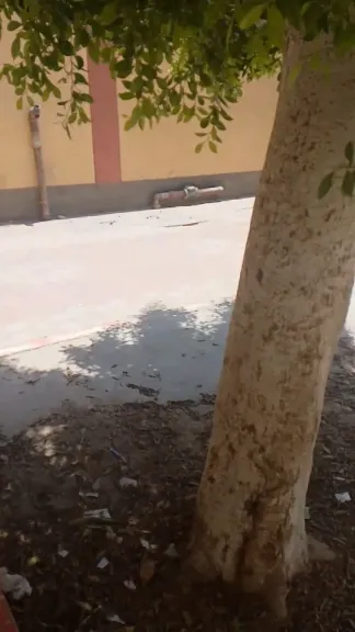 تهدد حياة المواطنين.. فيديو متداول لمخلفات سرنجات ومستلزمات طبية ملقاة داخل حوش مدرسة إعدادية في قنا
