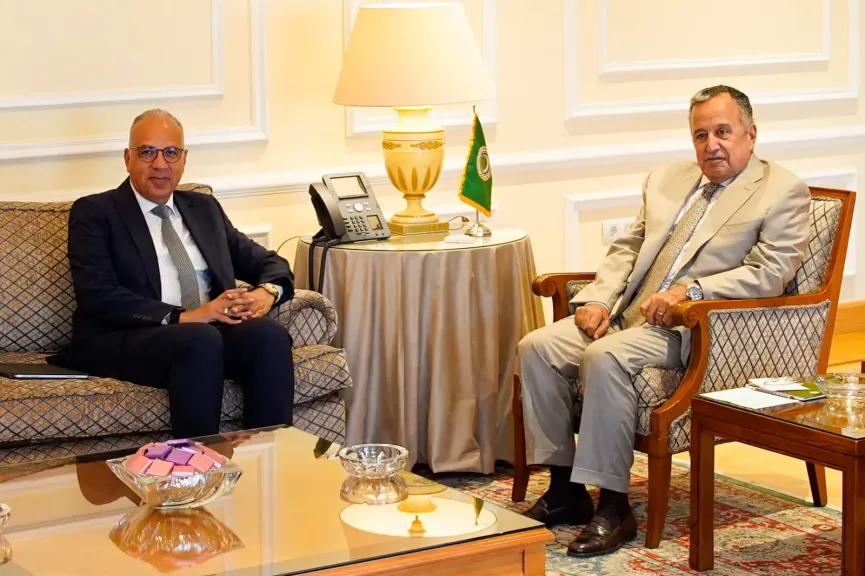 نبيل فهمي يبحث مع وزير الموارد المائية والري هاني سويلم تعزيز التعاون العربي في ملف الأمن المائي