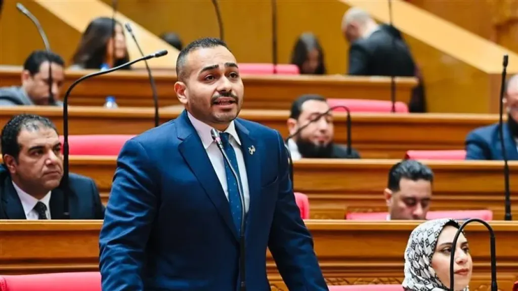 أحمد ناصر يسأل الحكومة: كيف نخفض فاتورة استيراد الذرة الصفراء؟