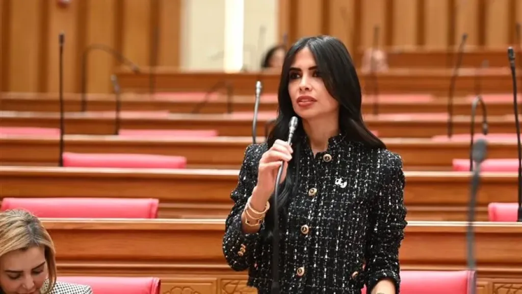 قطع أشجار القاهرة والجيزة تحت المجهر.. هايدي المغازي تطالب بكشف المسؤول