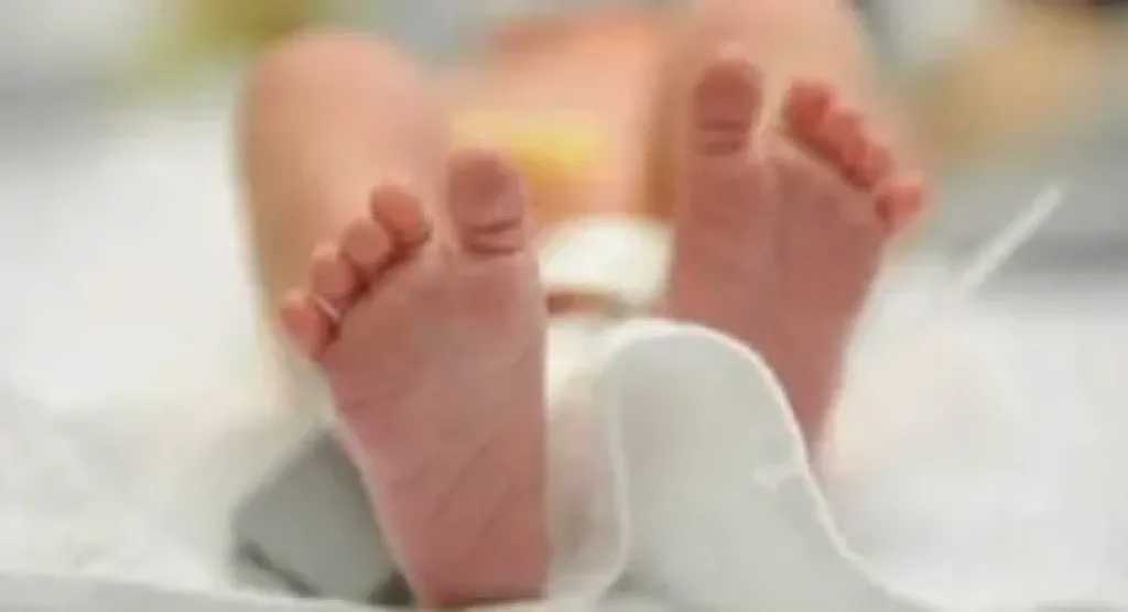 جدة تقتل رضيعًا عمره 7 أيام وتدفنه بأرض زراعية في مطوبس.. والأمن يكشف الجريمة