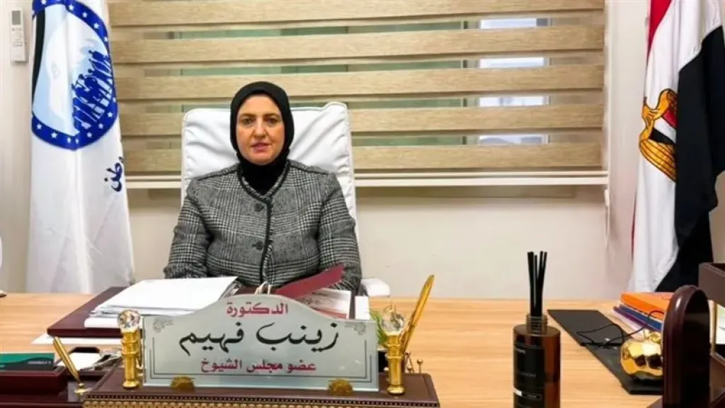 زينب فهيم: قرارات الرئيس بشأن أعباء الدراسة تستهدف دعم الأسرة المصرية