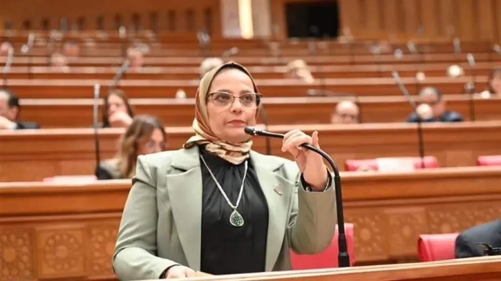 «العسيلي»: توجيهات الرئيس بشأن واقعة مدرسة «جلوبال براديم» تعكس اهتمام الدولة بحماية حقوق المواطنين