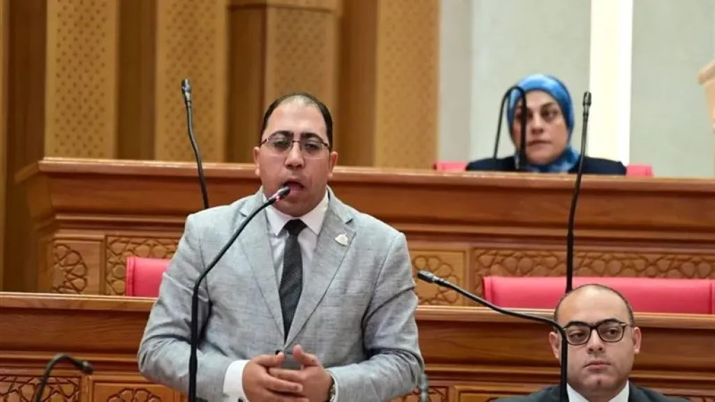 برلماني يطالب بحل أزمة زراعة القوقعة للأطفال وارتفاع تكاليف الصيانة