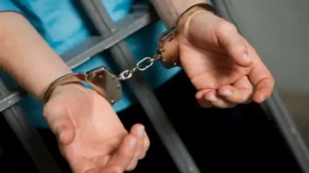 القبض على متهم هارب من 20 حكمًا غيابيًا في قضايا توظيف أموال بمدينتي