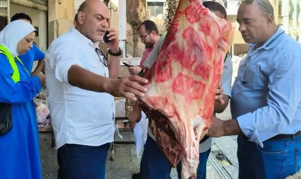 د. هاني شمس الدين وكيل وزارة الطب البيطري بالقليوبية 