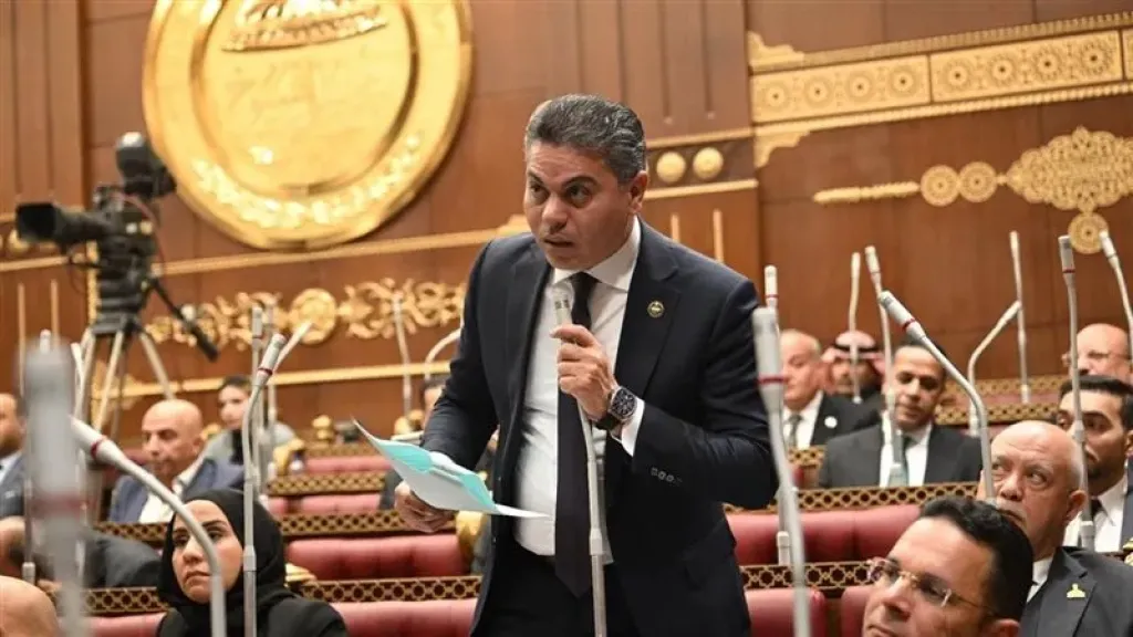 النائب مجدي البري