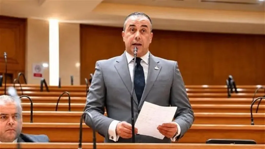 برلماني: توجيهات الرئيس السيسي لفواتير الكهرباء تحمي المواطنين من التقديرات العشوائية