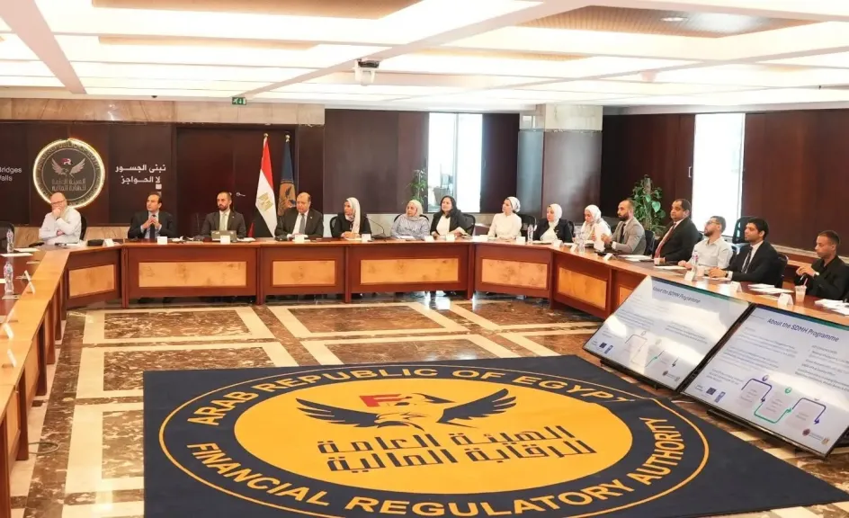 لمناقشة خارطة الطريق المقترحة لتطبيق معايير الإفصاح عن الاستدامة.. ورشة عمل تجمع الرقابة المالية والاتحاد الأوروبي وبرنامج الأمم المتحدة الإنمائي