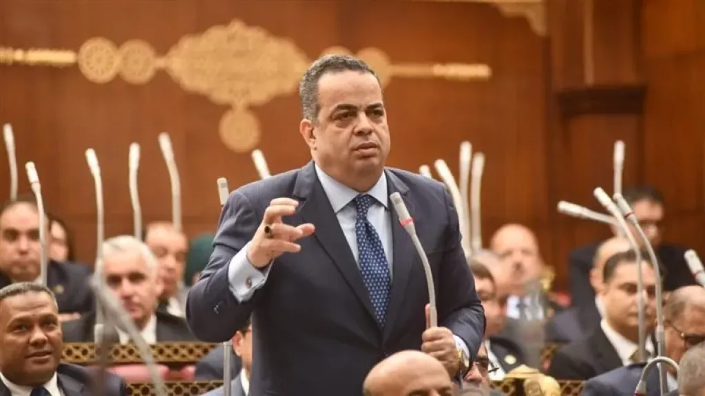 النائب عصام هلال عفيفي
