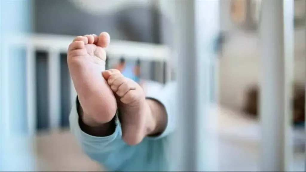 مجانًا لأول مرة.. خطوات استخراج شهادة ميلاد المولود وتسجيله بالسجل المدني
