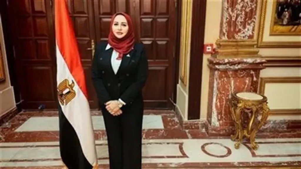 «شيرين صبري»: زيارة الرئيس الصيني تفتح آفاقًا جديدة للشراكة بين القاهرة وبكين