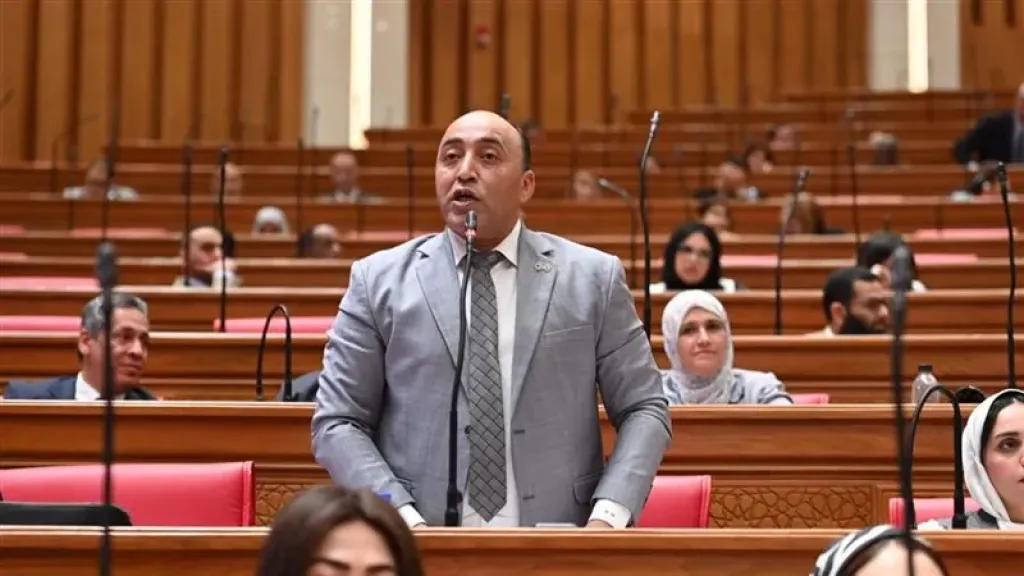 النائب حسام حسن