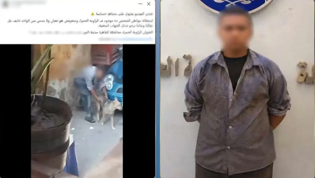 المتهم 