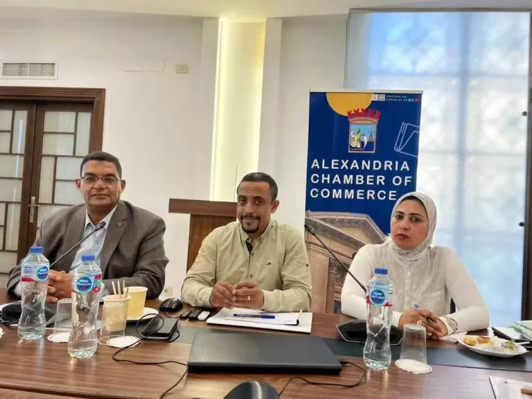 غرفة الإسكندرية تتحرك: خطة لإنعاش المقاولات وتذليل عقبات التراخيص بالتنسيق مع المحافظة