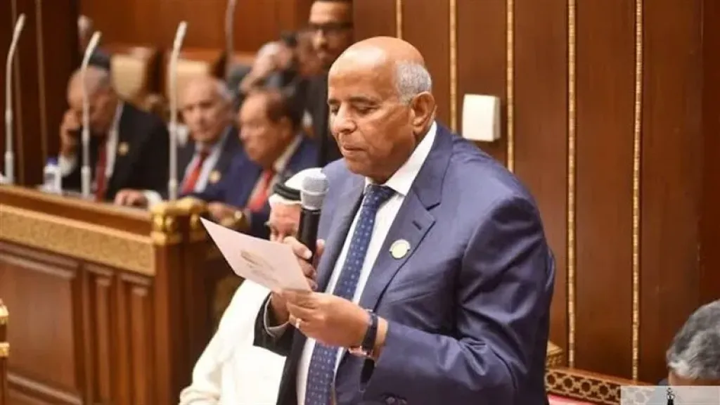 حلمي جاويش: العلاقات المصرية الصينية تفتح آفاقًا جديدة للاستثمار والتنمية