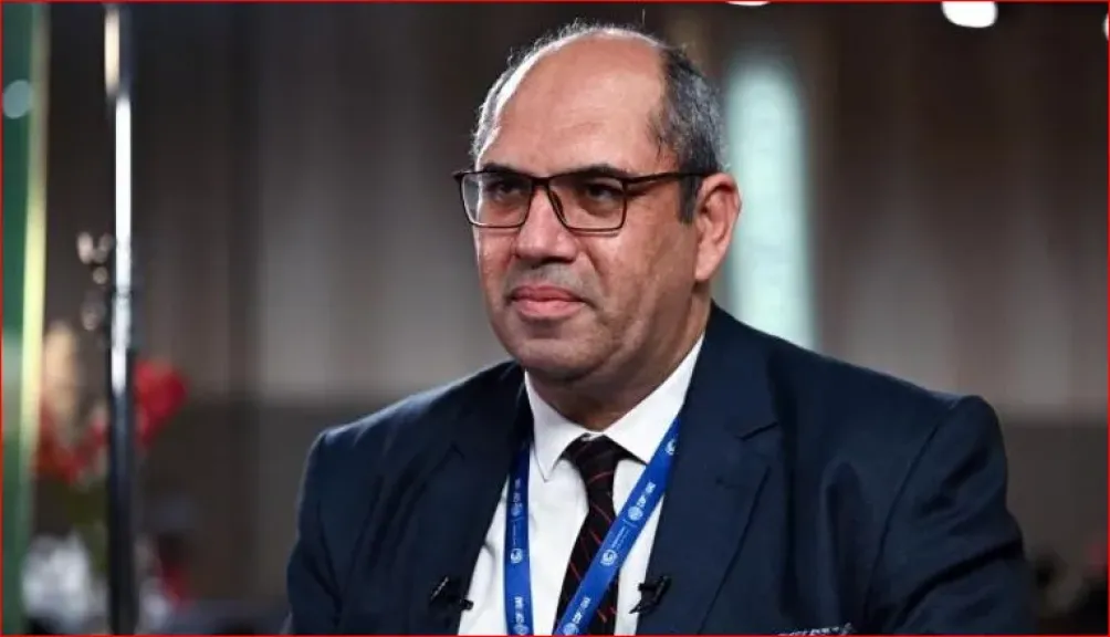 خبير : مصر تستهدف تصنيع مكونات بطاريات تخزين الطاقة بالتعاون مع الصين