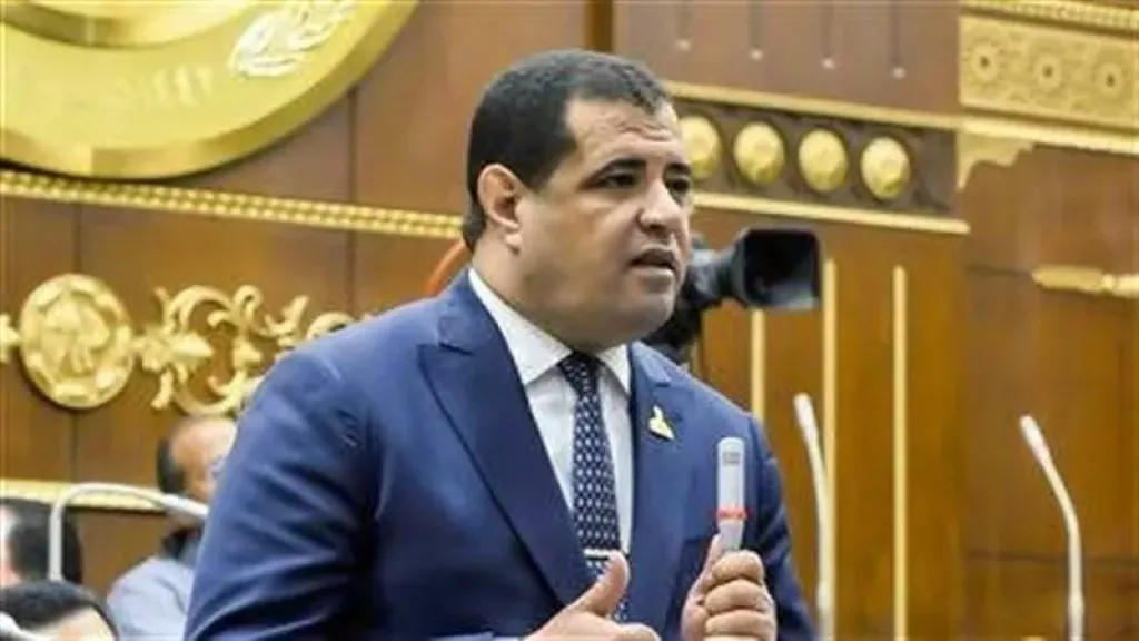 عضو بـ«الشيوخ»: التعاون المصري الصيني يفتح آفاقًا جديدة للاستثمار والتكامل الاقتصادي