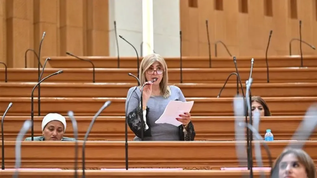  النائبة أميرة فؤاد