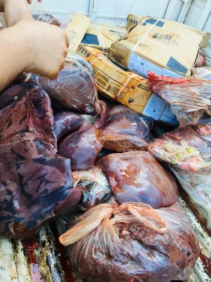 ضبط 320 كيلو كبدة مجمدة غير صالحة و2400 زجاجة مياه مجهولة المصدر بمطوبس في كفرالشيخ