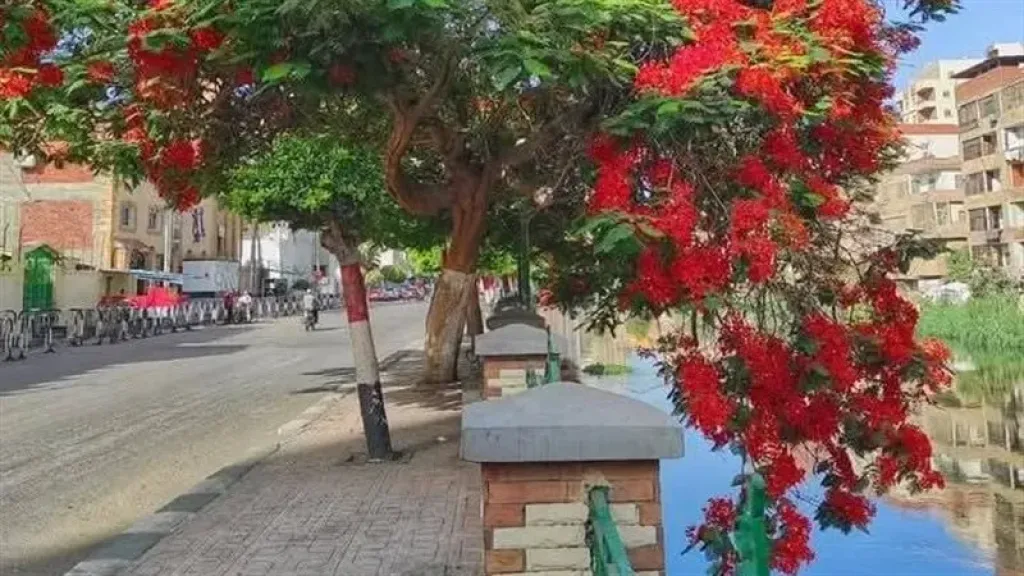 نائبة: حان الوقت لتحويل التخضير إلى سياسة تنموية شاملة
