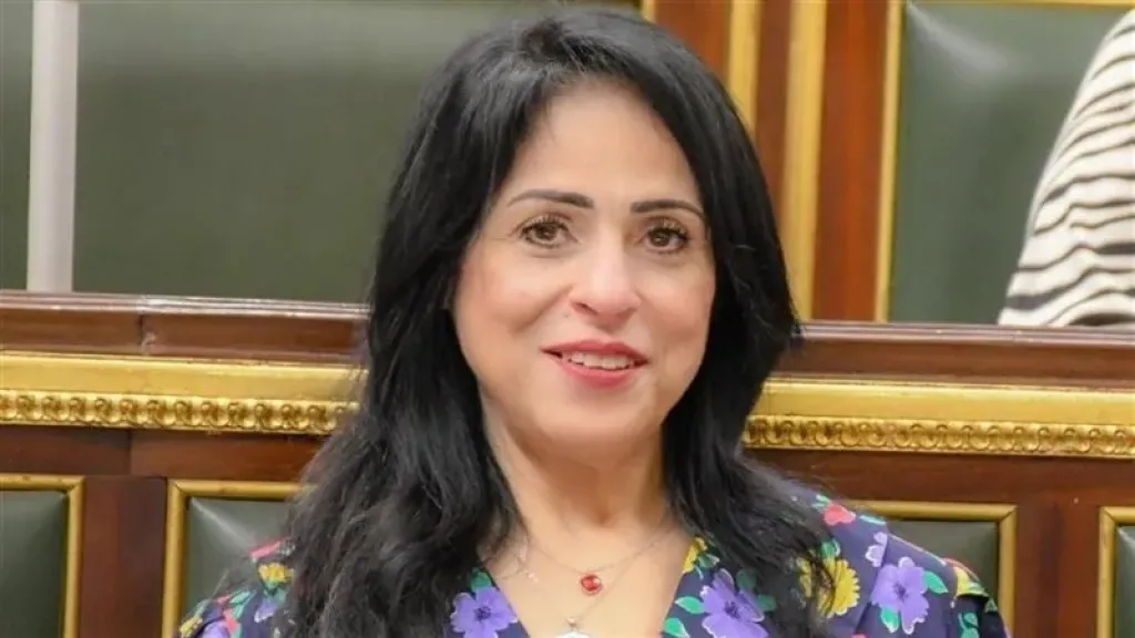 الهريدي: تحرك مصر والدول السبع يوجه رسالة واضحة برفض تهجير الفلسطينيين