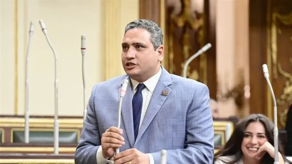 النائب عماد خليل: الجولات الميدانية ليست ساحة للاستعراض أو التقليل من الموظفين