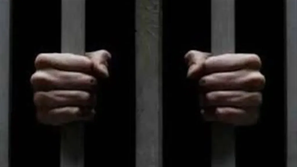 تصل للحبس والغرامة.. تعرف على عقوبة الترويج للأفكار المتطرفة
