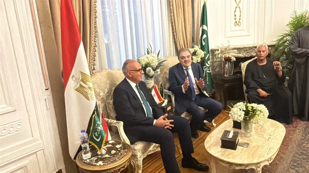  الدكتور السيد البدوي شحاتة