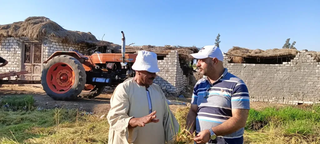 فرحة في حقول كفر الشيخ مع انطلاق موسم حصاد الأرز.. إنتاج مبشر رغم حرارة الصيف