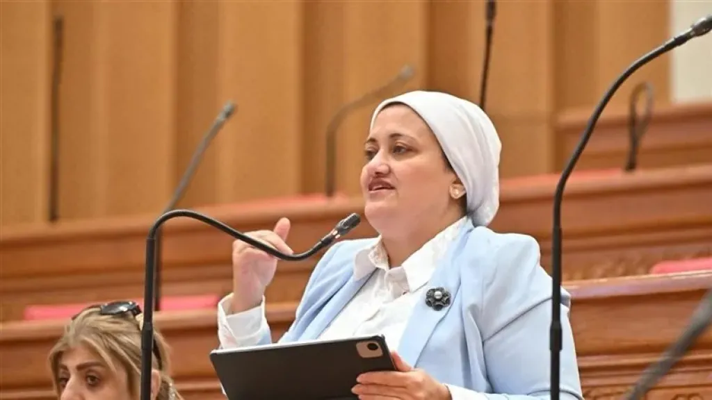 سناء السعيد: ضبط مصروفات الجامعات الخاصة وحماية الأسر من المغالاة ضرورة