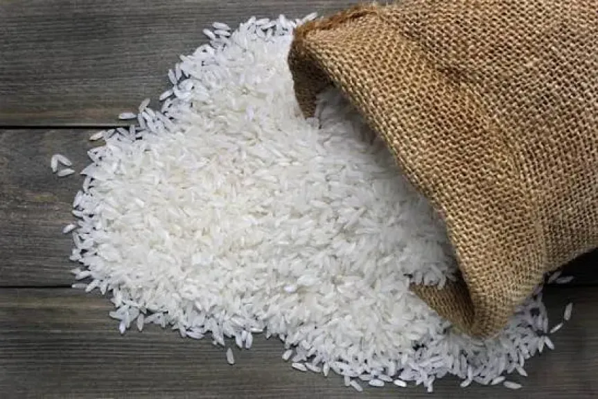 انخفاض في سعر طن الأرز 1500 جنيه.. ووفرة بالمعروض