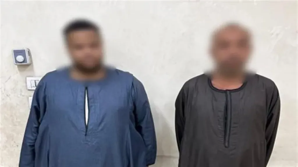 «كاميرات المراقبة تشعل الخلاف بين جارين في الأقصر».. الداخلية تكشف حقيقة الواقعة