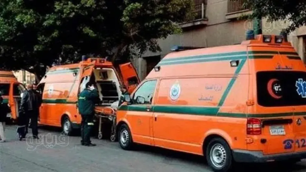 تأجيل استئناف 4 متهمين بقتل شخص في المطرية.. الأب متهم بالتحريض والطلاب يواجهون أحكامًا بالسجن