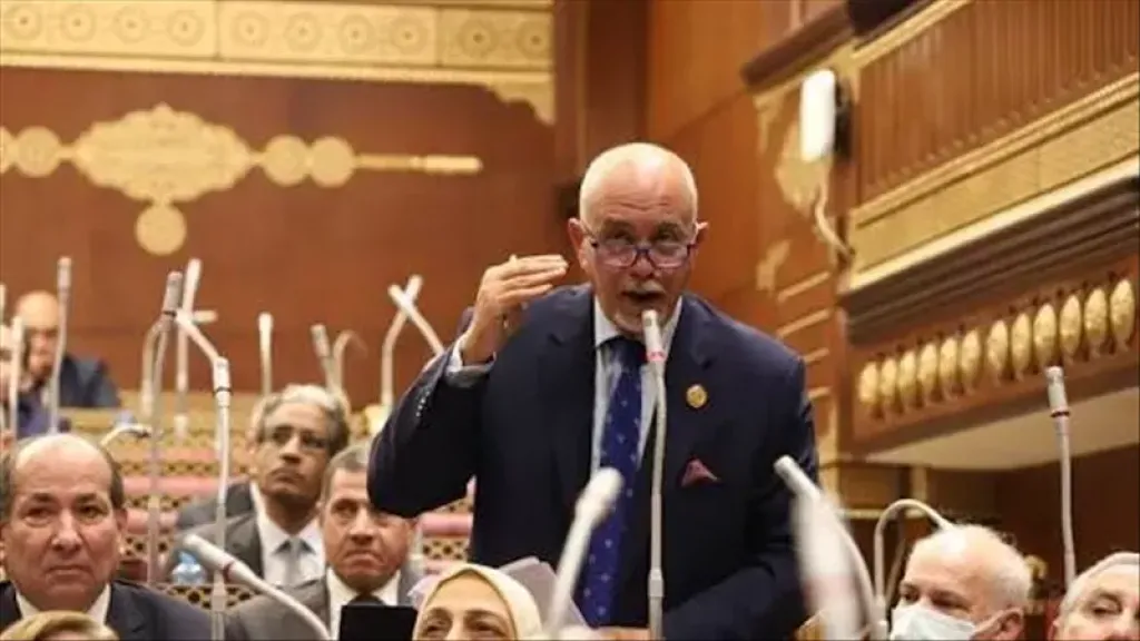 حازم الجندي: القاهرة والرياض شريكان رئيسيان في مواجهة أزمات المنطقة