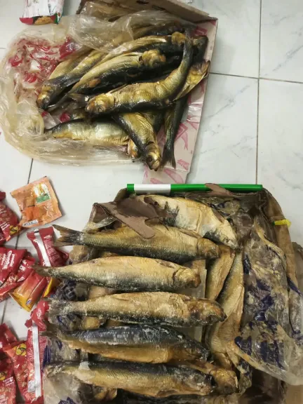 ضبط 369 صنفًا منتهي الصلاحية و54 علبة سجائر مجهولة المصدر في حملة تموينية بقلين في كفرالشيخ
