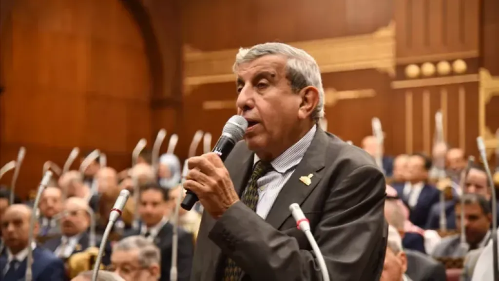 علاء عبد النبي: لقاء السيسي وأبو مازن يعزز التنسيق المصري الفلسطيني
