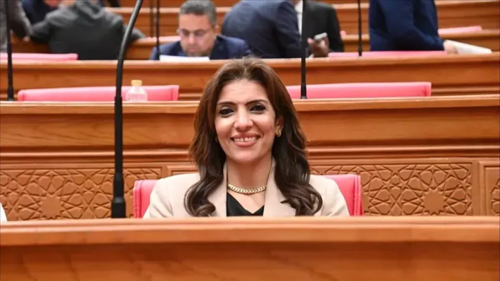 النائبة رانيا الشيمي