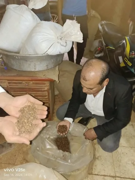 قبل وصوله للمواطنين.. ضبط 2.7 طن بُن وبسلة داخل مخزن غير مرخص بشبرا الخيمة