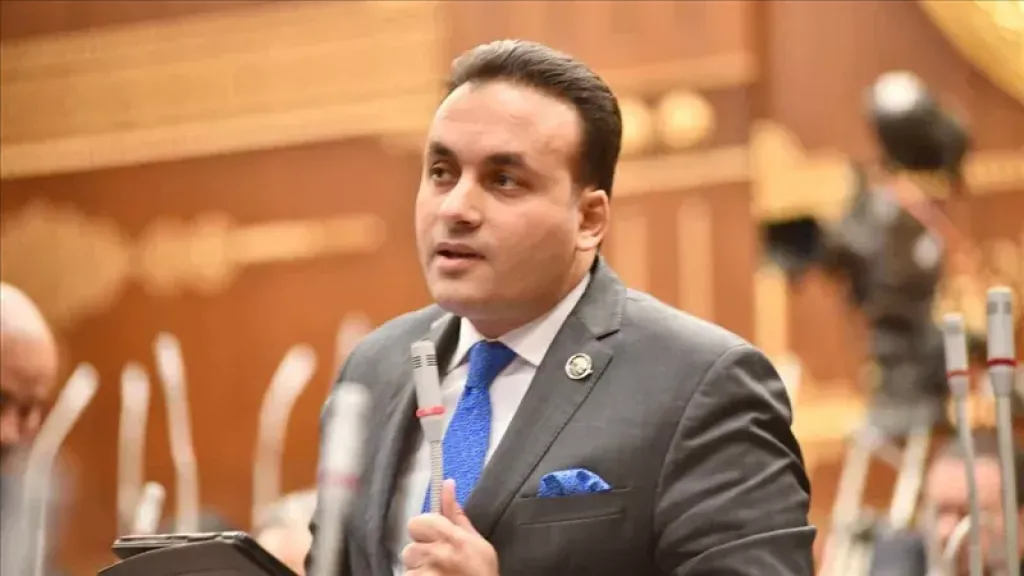  النائب عمرو فهمي