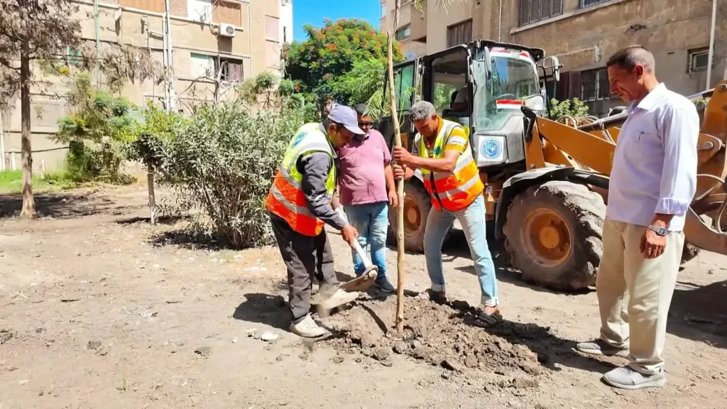 زراعة 2366 شجرة ونخلة بمحافظة كفرالشيخ ضمن جهود التوسع في التشجير وتحسين المظهر الحضاري