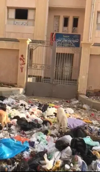 جانب من سور المدرسة