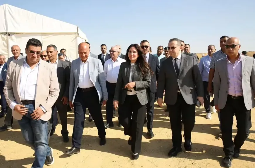 الإسكان 