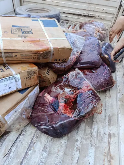 ضبط أسماك ولحوم ودواجن وسلع غذائية مجهولة المصدر وغير صالحة خلال حملات تموينية بعدد من مدن كفر الشيخ