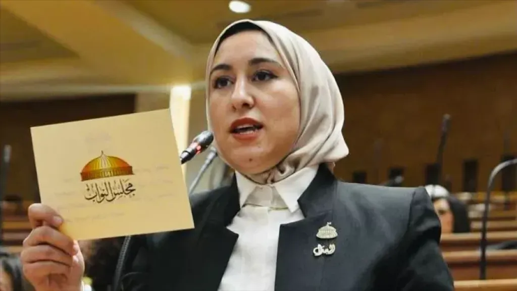  النائبة صافيناز طلعت