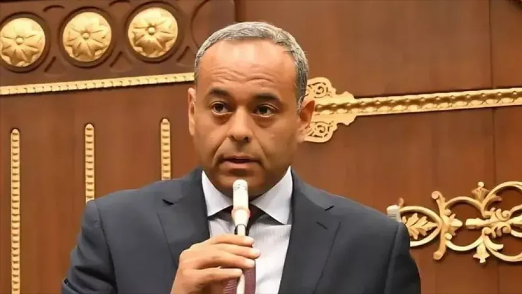 سامح السادات: إقرار قانون حرية تداول المعلومات خطوة لتحويل النص الدستوري إلى واقع