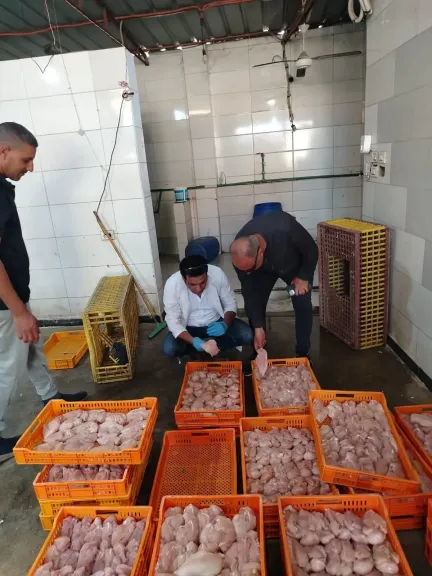 ضبط 115 كجم بانيه غير صالح للاستهلاك خلال حملة رقابية مكبرة بسنورس بالفيوم