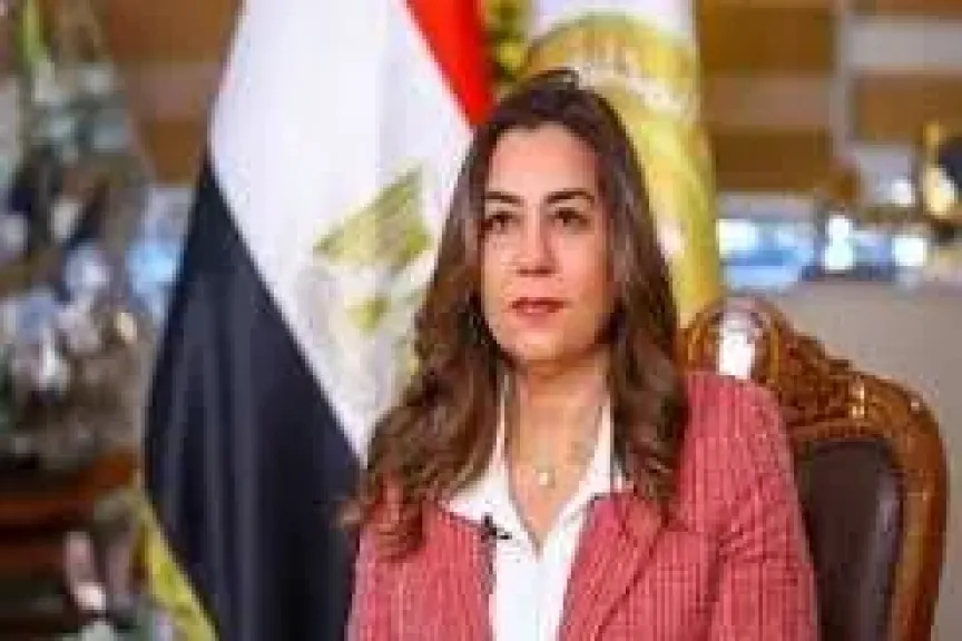 «تهذيب» أم إزالة؟.. أشجار المعادي تفتح ملف قرارات القطع مجددًا