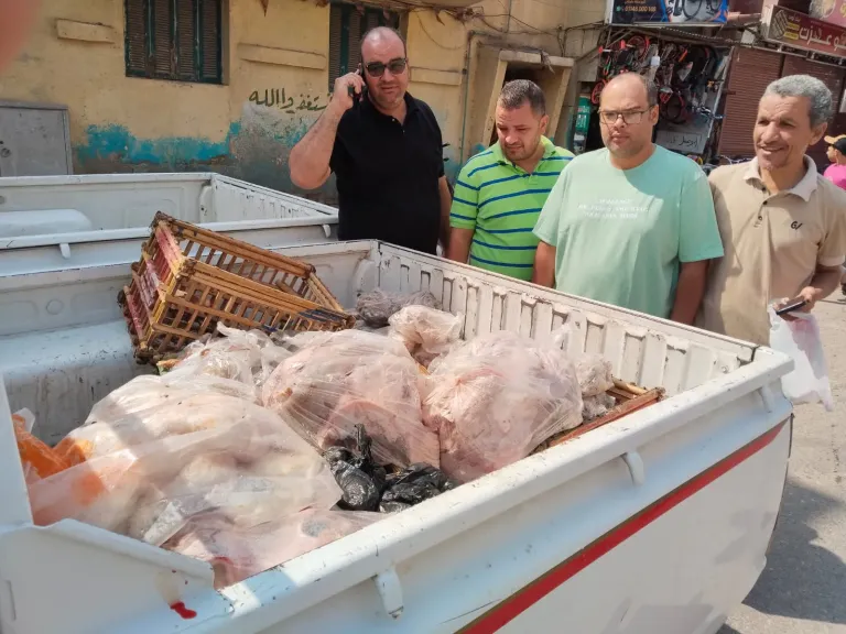 التحفظ على 500 كجم لحوم مجمدة غير صالحة للاستهلاك ببني سويف